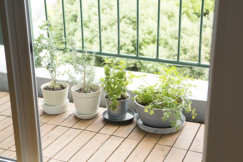 ふたりだけの景色