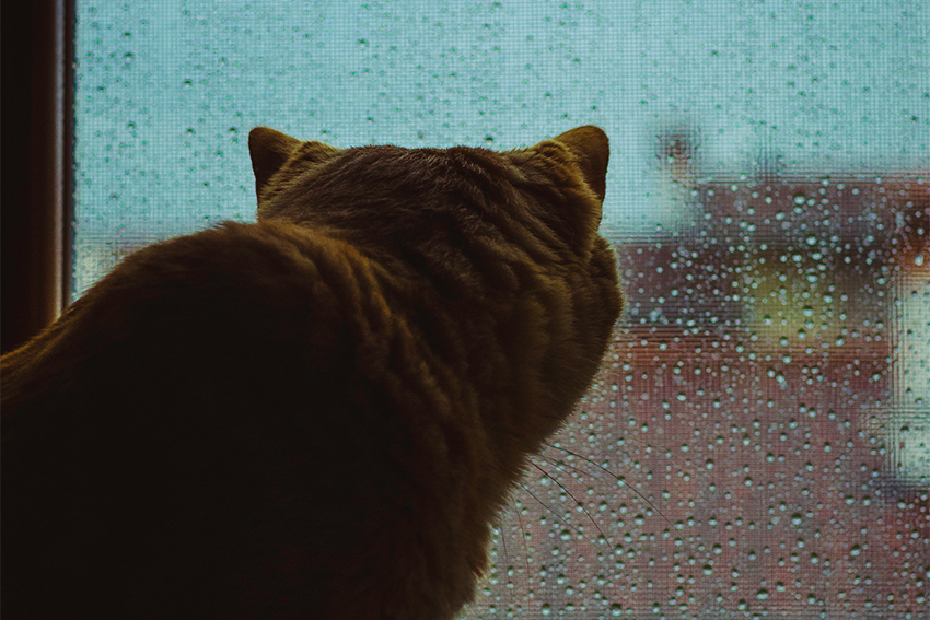 「マンション管理」のチェックポイント＜実践編①＞中古マンションを蝕む「最大の敵」とは？