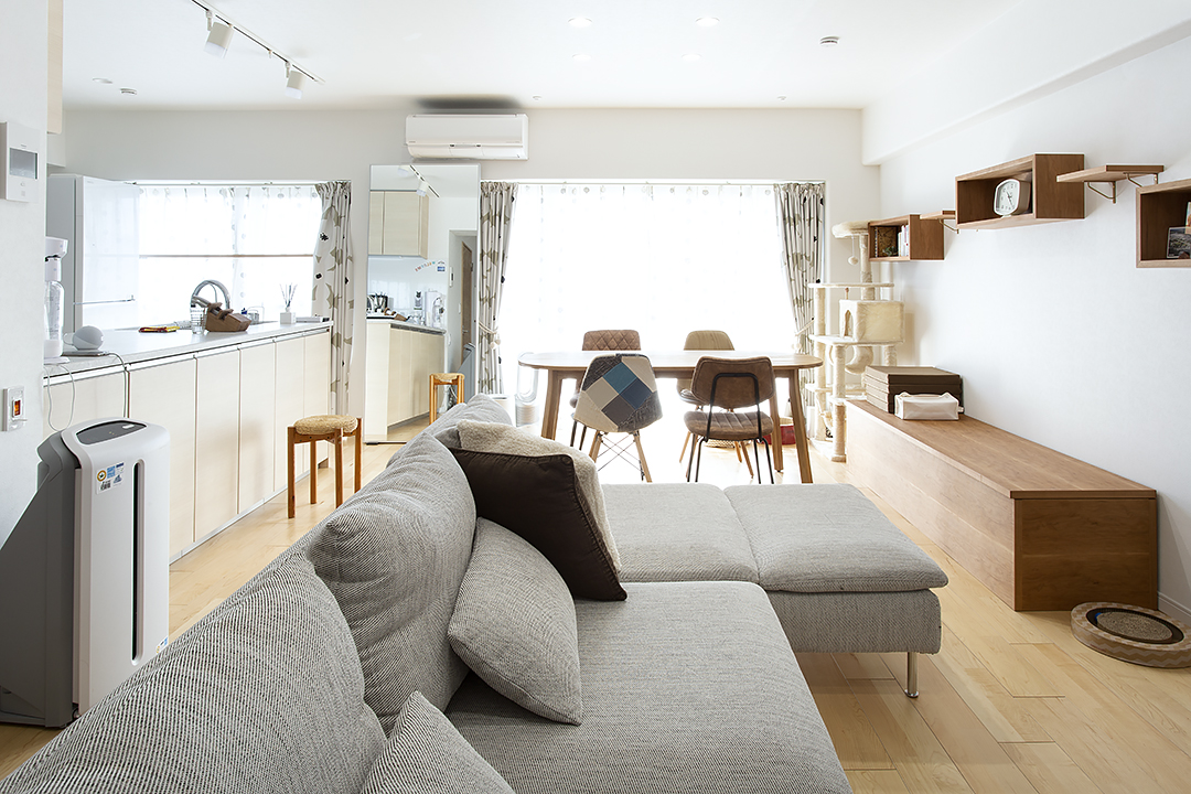 愛猫と気ままな暮らし