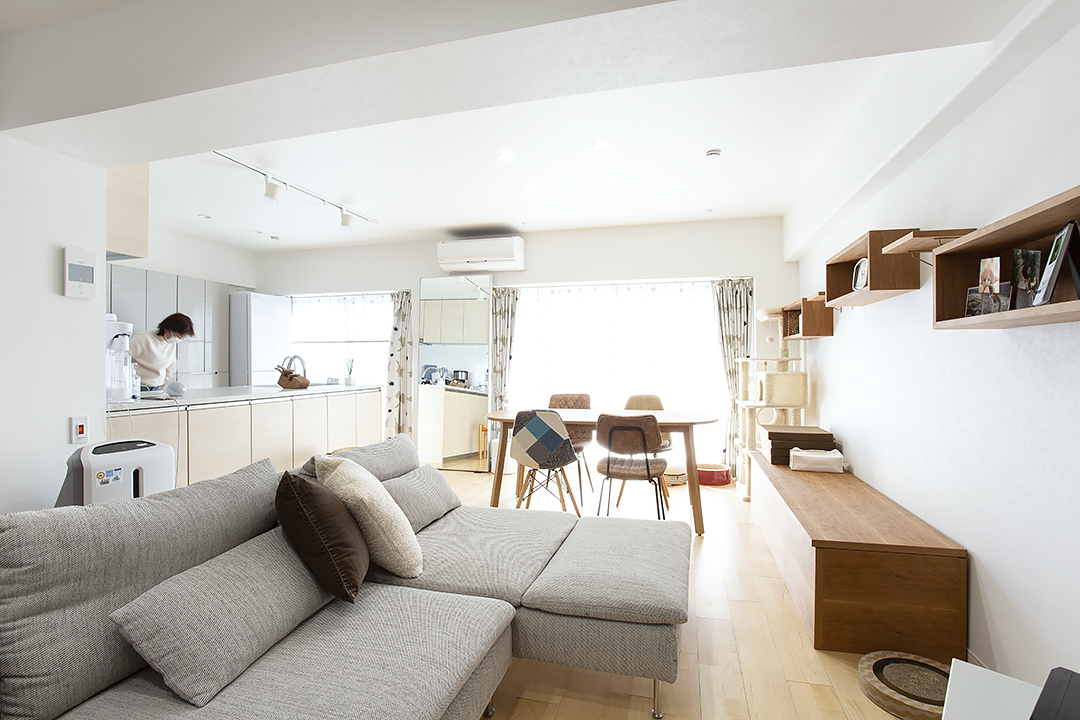 愛猫と気ままな暮らし