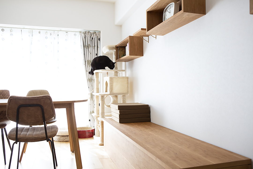 愛猫と気ままな暮らし