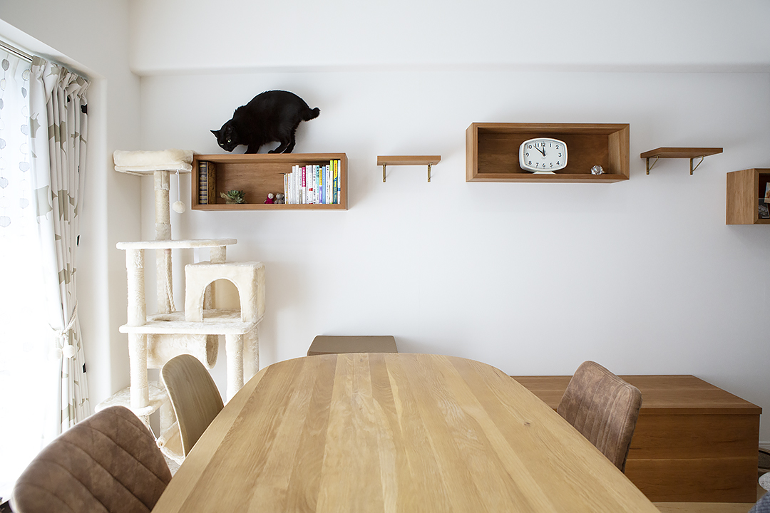 愛猫と気ままな暮らし