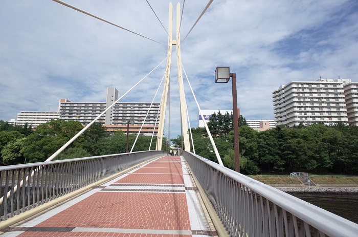 【東京リノ日和６】＜まちとマンション探訪～八潮パークタウン＞