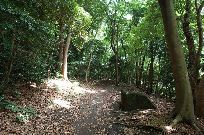 大井ふ頭緑道公園